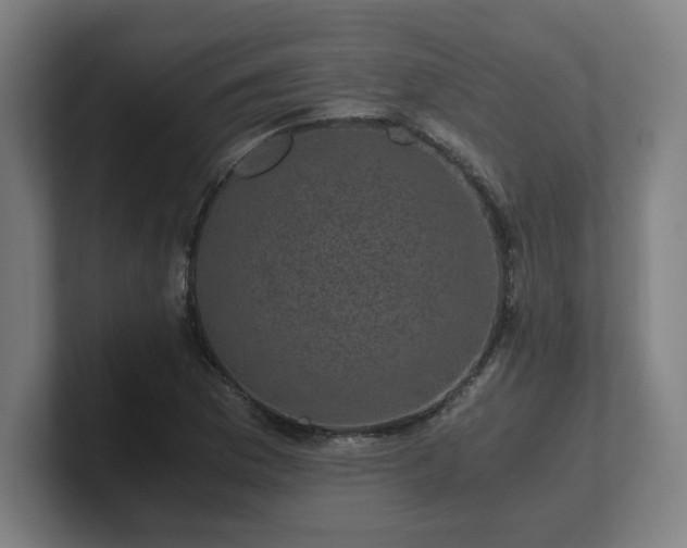 X0000101711169200807171530
