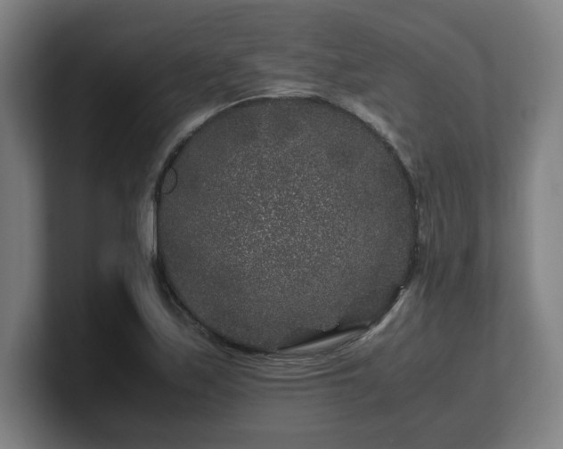 X0000101711171200807171530