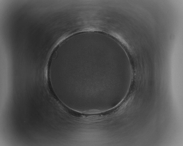 X0000101711173200807171530