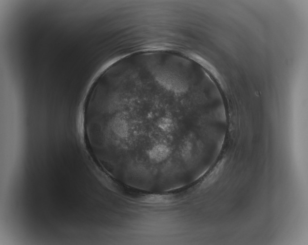 X0000101711179200807171530