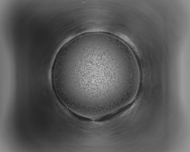 X0000101711181200807171530
