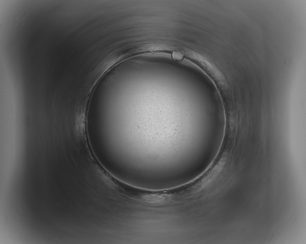 X0000101711185200807171529