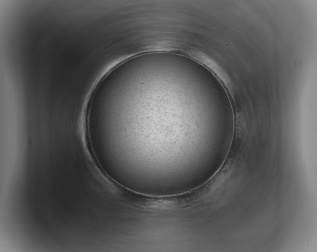 X0000101711187200807171529