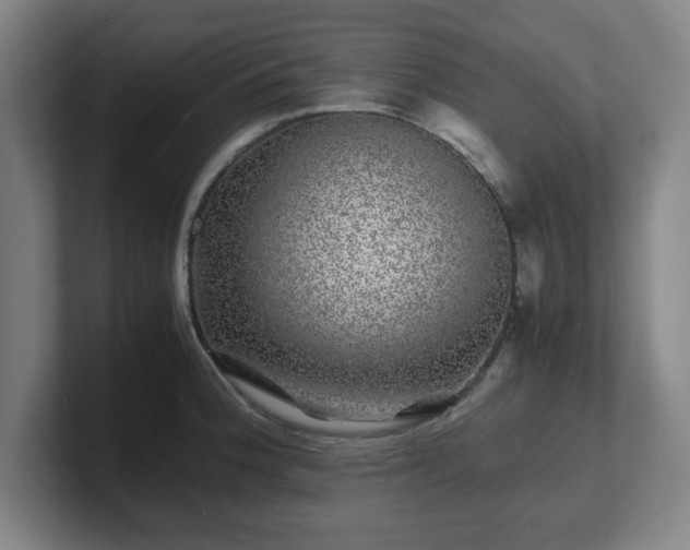 X0000101711188200807171529