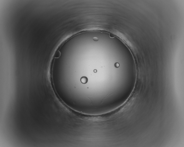 X0000101711189200807171529