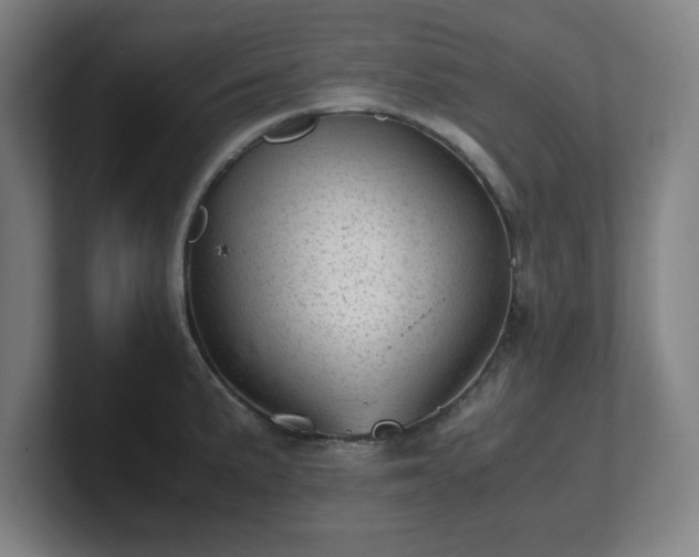 X0000101711191200807171529