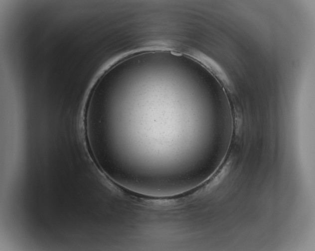 X0000101711192200807171529