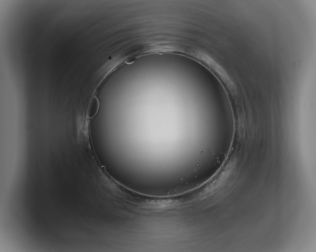 X0000101711193200807171529