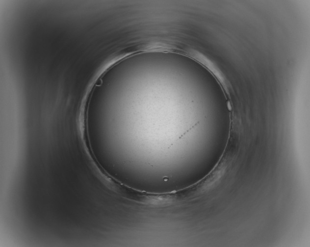 X0000101711195200807171529