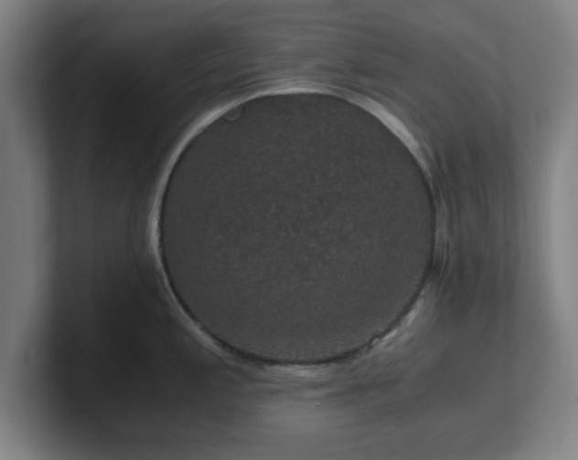 X0000101711197200807171529