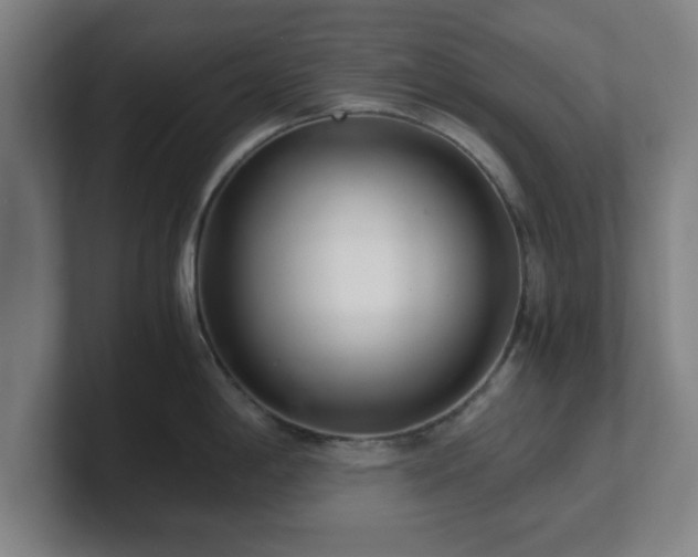 X0000101711198200807171529
