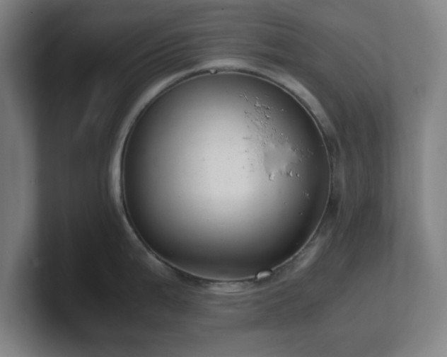 X0000101711199200807171529