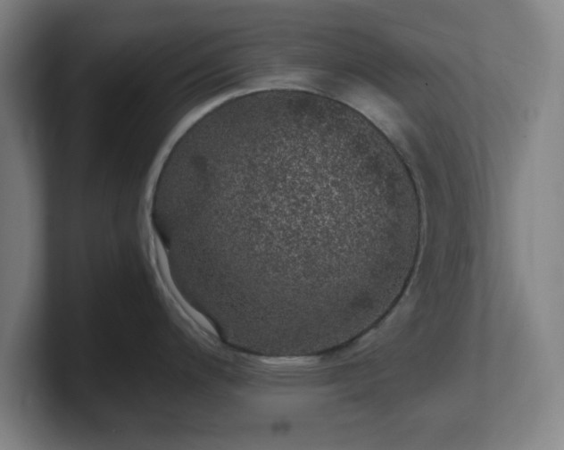 X0000101711200200807171529
