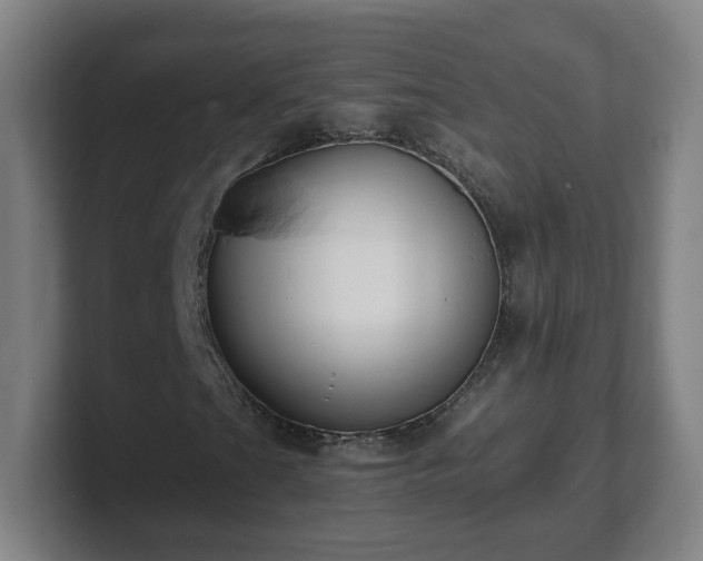 X0000101711201200807171529