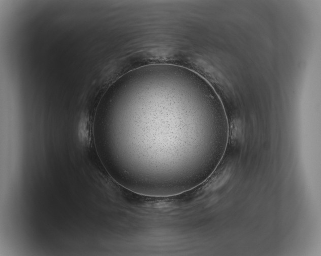 X0000101711202200807171529