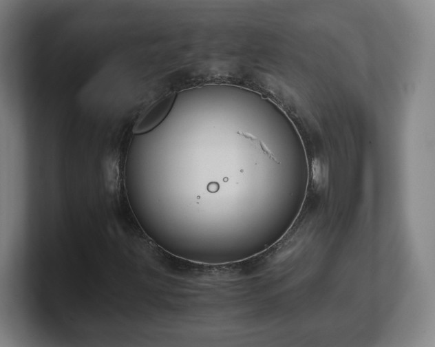 X0000101711203200807171529