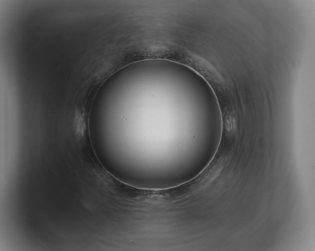 X0000101711204200807171529
