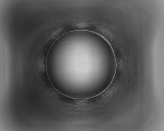 X0000101711205200807171529