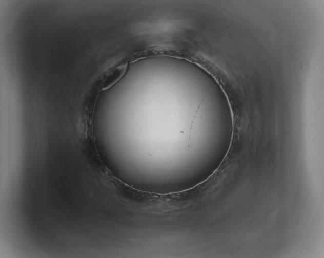 X0000101711207200807171529