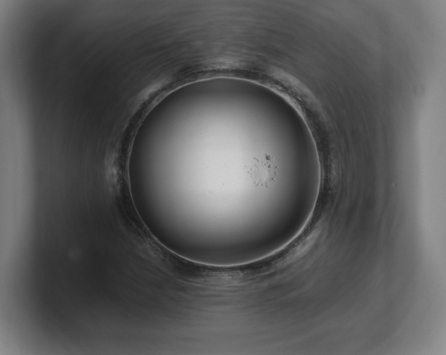 X0000101711210200807171529