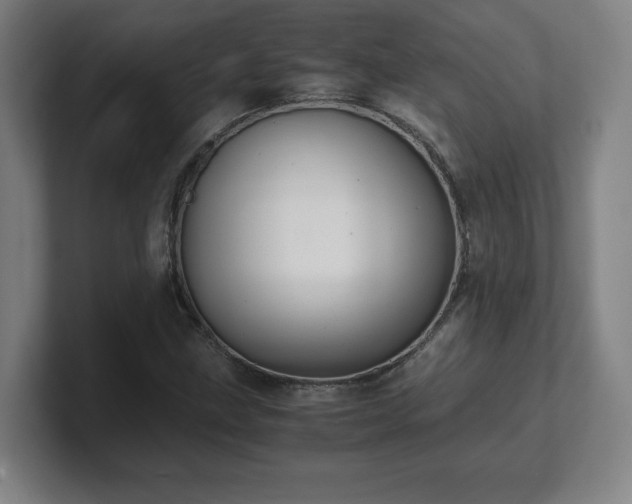 X0000101711211200807171529