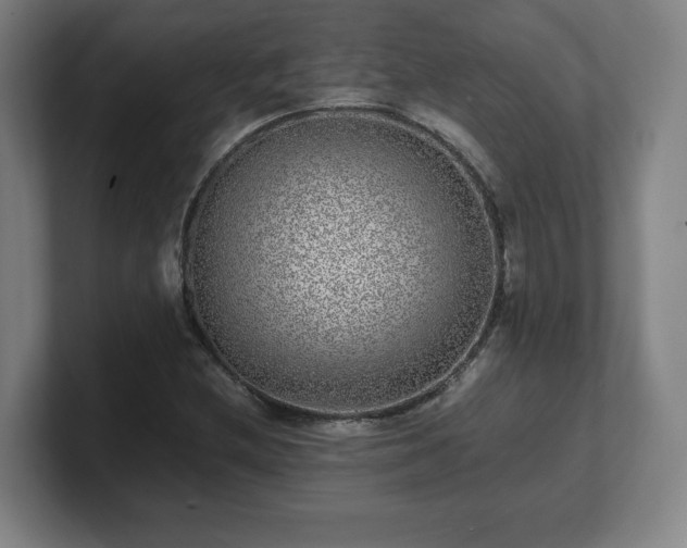 X0000101711212200807171529
