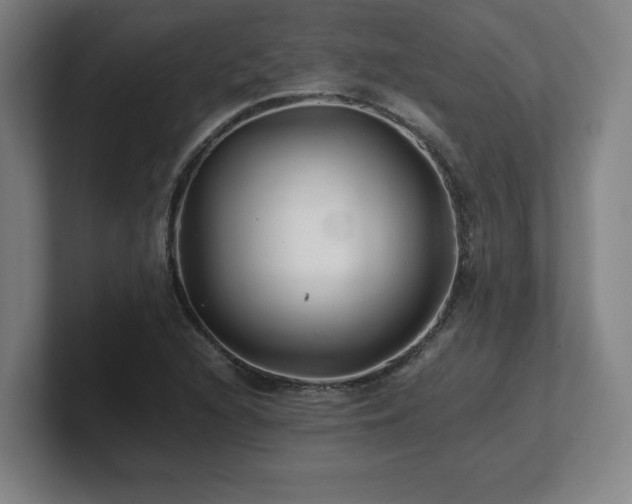 X0000101711216200807171529