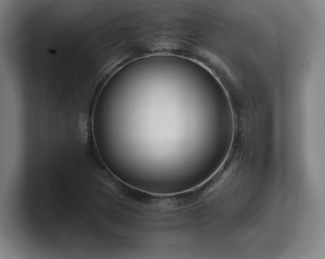 X0000101711217200807171529