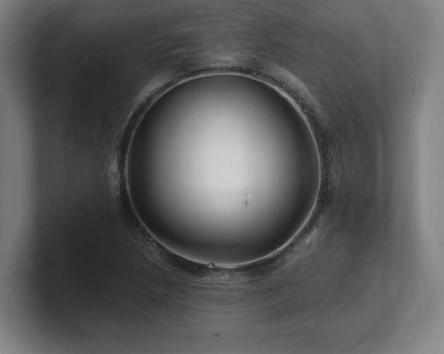 X0000101711218200807171529