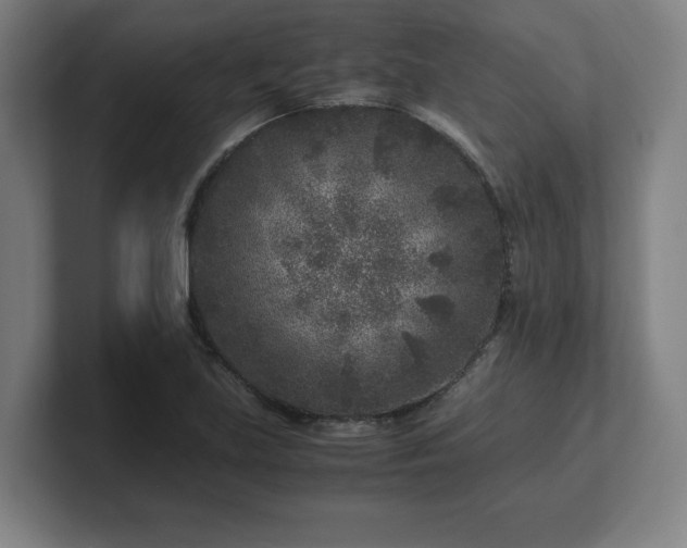 X0000101711219200807171529