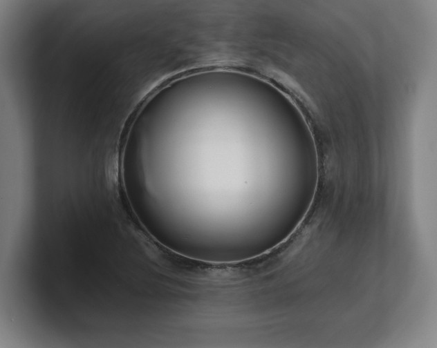 X0000101711220200807171529
