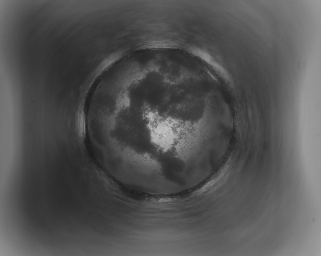 X0000101711221200807171529