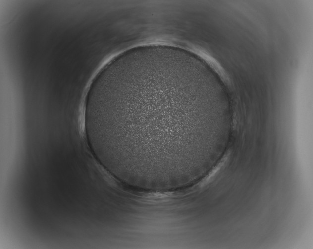 X0000101711224200807171529