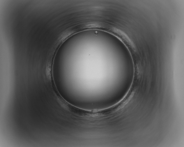 X0000101711225200807171529