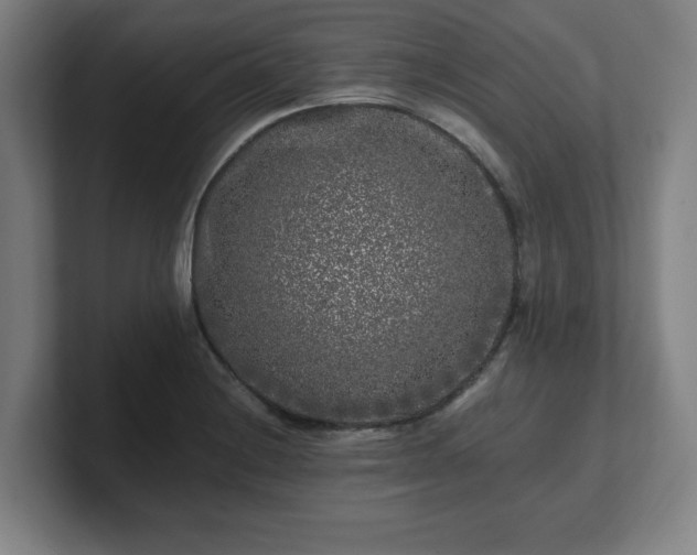 X0000101711228200807171529