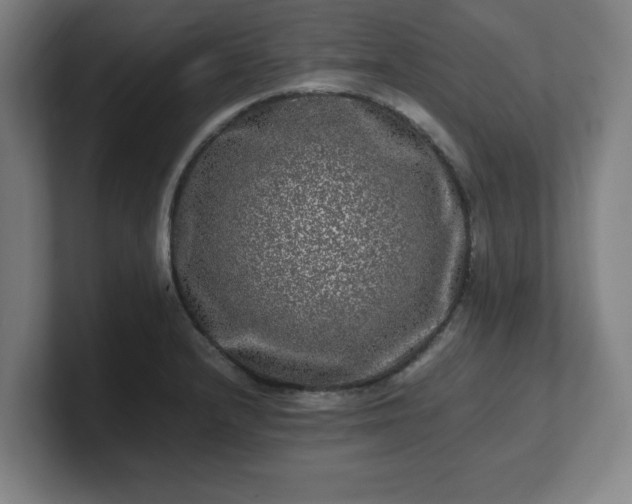 X0000101711232200807171529