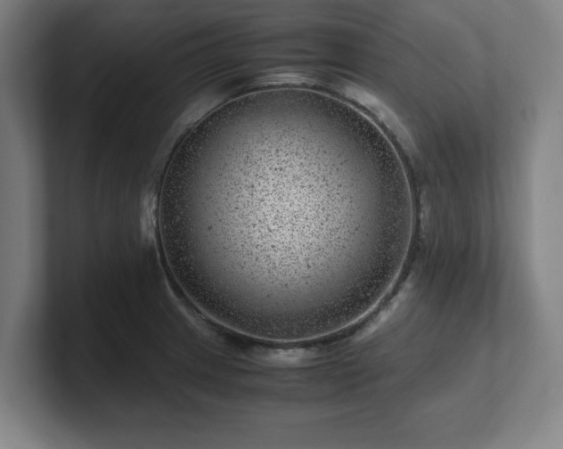 X0000101711233200807171529