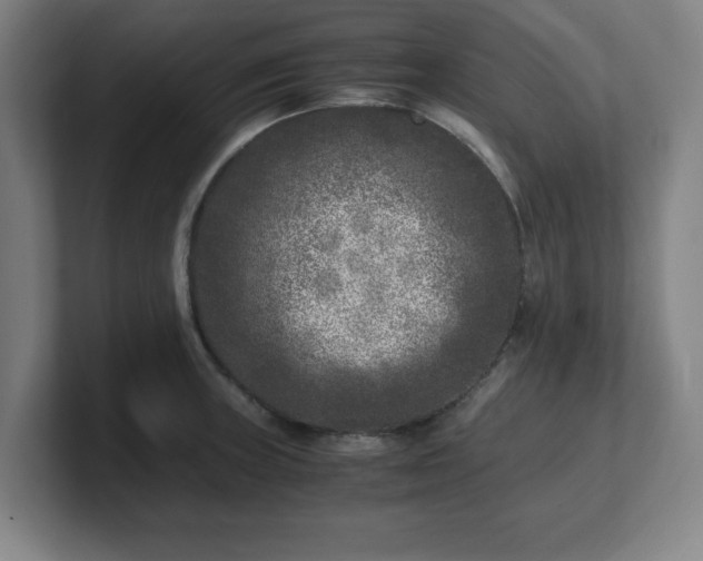 X0000101711235200807171529