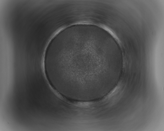 X0000101711237200807171529