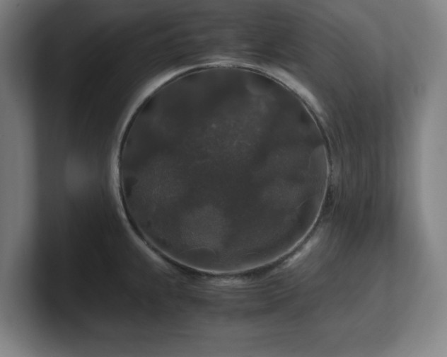 X0000101711239200807171529