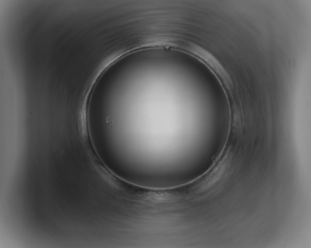 X0000101711242200807171529