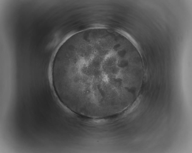 X0000101711243200807171529