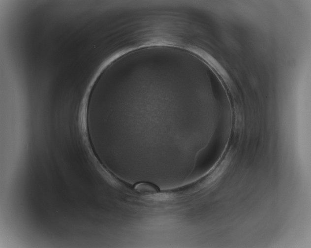 X0000101711246200807171529
