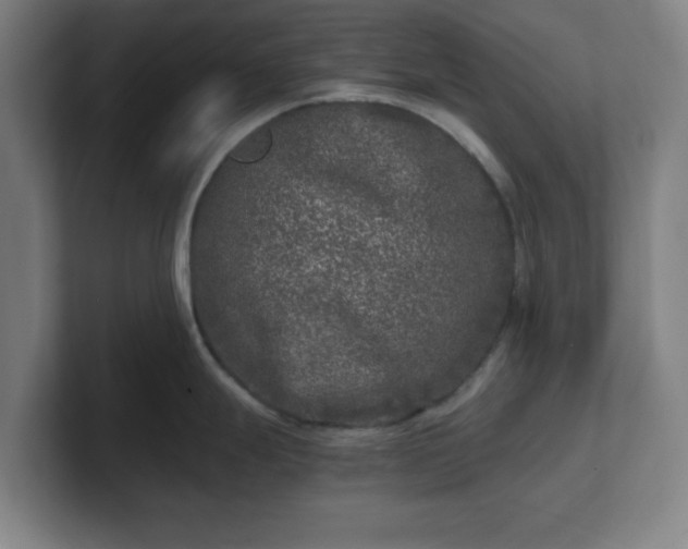 X0000101711247200807171529