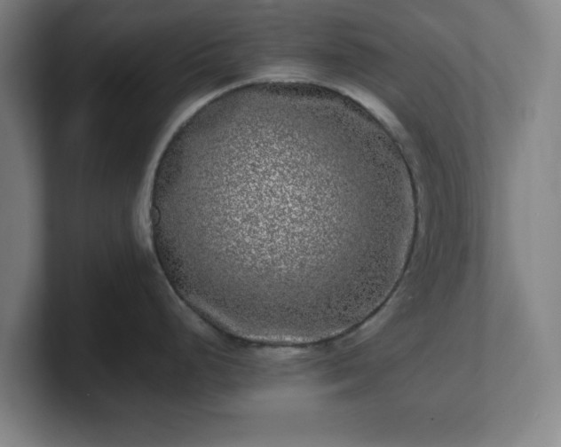 X0000101711248200807171529