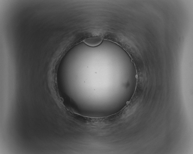 X0000101711249200807171529