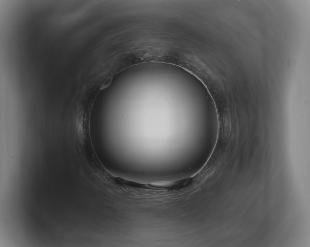 X0000101711250200807171529