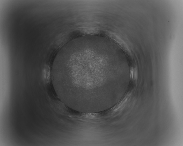 X0000101711251200807171529