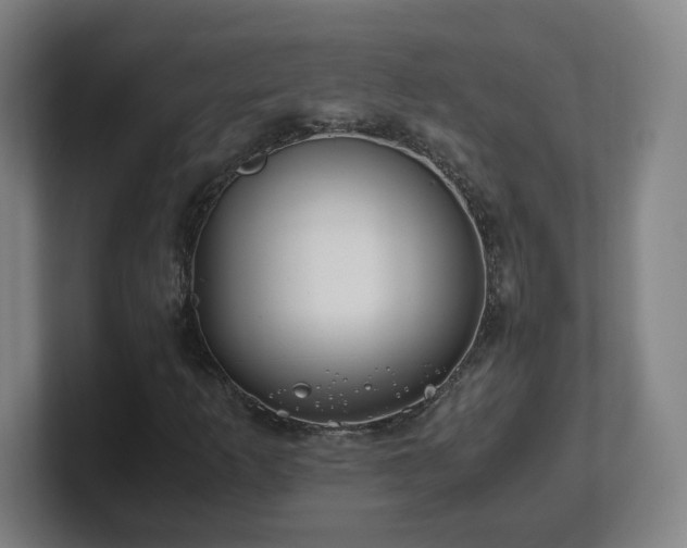 X0000101711253200807171529