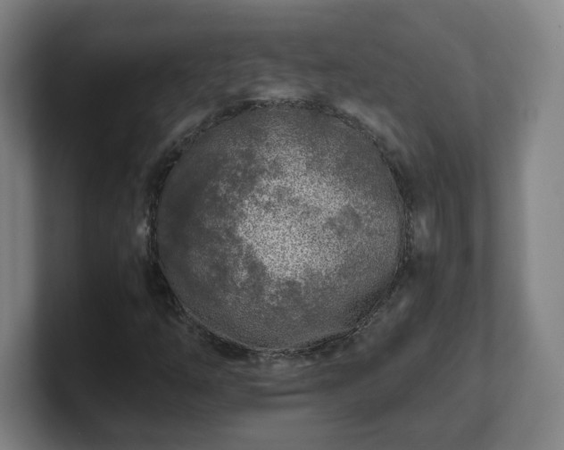 X0000101711254200807171529